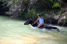 Italy-Tuscany-Relaxed Tuscan Ride in Maremma